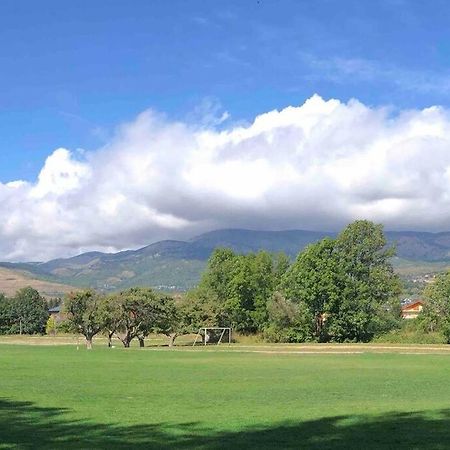 La Cabanita De Llivia, Cerdanya, Puigcerda Apartment Ngoại thất bức ảnh